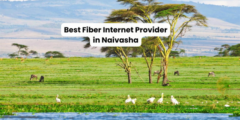 Nakuru Fiber internet installation in Naivasha